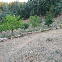 Karamehmet Pınarı
