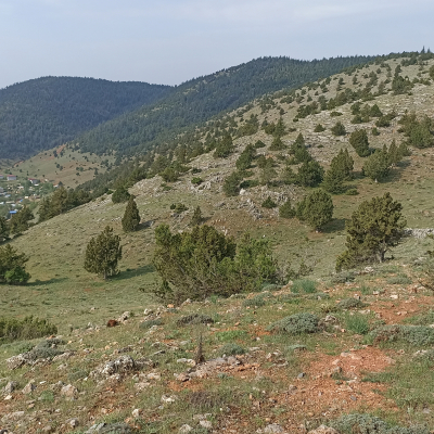Katran Ocagı Civarı