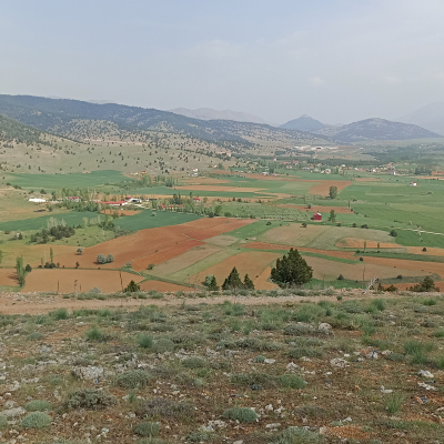 Katran Ocagı Civarı