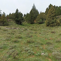 Katran Ocagı Civarı