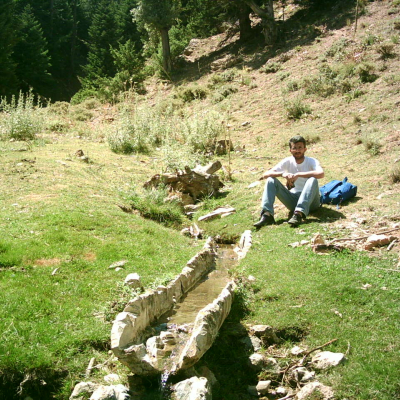 Almanın Pınarı