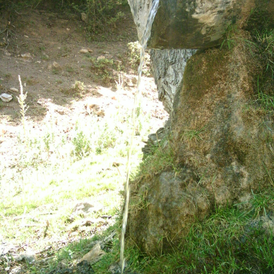 Almanın Pınarı