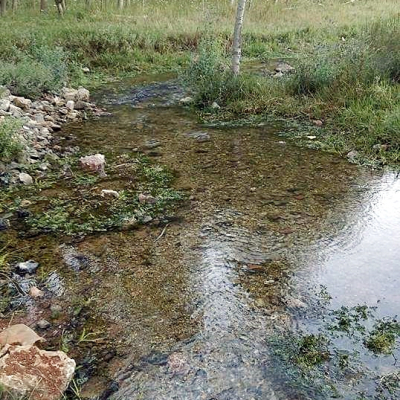 Çontarın Pınarı
